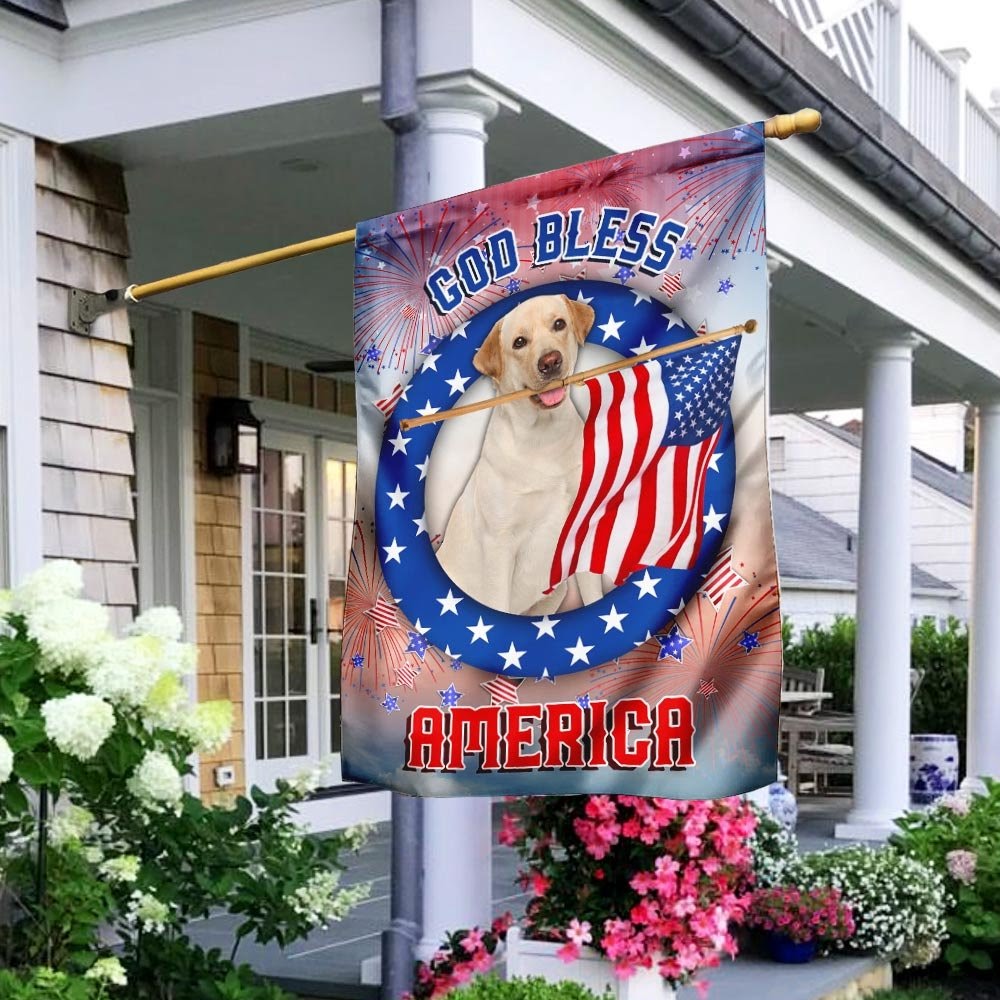 Niche chó khi kết hợp với ngày Quốc Khánh Mỹ (Golden Retriever)